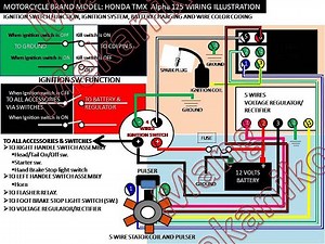 HONDA MOTORCYCLE WIRING SYSTEM TUTORIAL | PART 3 | HEAD LIGHT, STOP LIGHT, FLASHER AND HAZARD CKT
