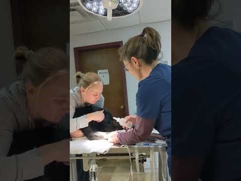 22494327_KatherineKindlesparker_Skill4_IVCath