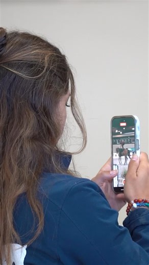 2K views · 174 reactions | POV: There is magic taking place behind the scenes of the National Vaulting Championship ✨⭐️ A sport that encompasses so much more than just competition ✨ • USA Vaulting • EVUSA • Equestrian Vaulting• | Equestrian Vaulting USA | Facebook