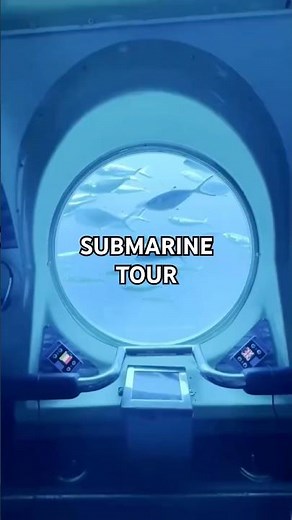 Submarine tour in Tenerife 🐠 Ready to explore the ocean?🌊 #tenerife #submarine #tour #underwater