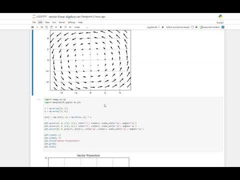 vector python coding @hwcphysics