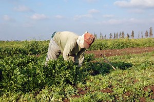 AGCO Agriculture Foundation’s Grant Program 2024 - fundsforNGOs