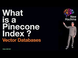 What is a Pinecone Index ?