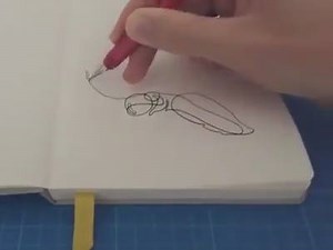 9.4K views · 306 reactions | Astonishing continuous line drawing, created by the talented illustrator Will Scobie | icanbecreative | Facebook