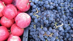 Pros and Cons of Making Food and Nutrition Compulsory Subjects