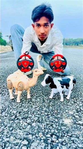 Rc Remote Control To Ta Cow And Camel Unboxing Dise 😱