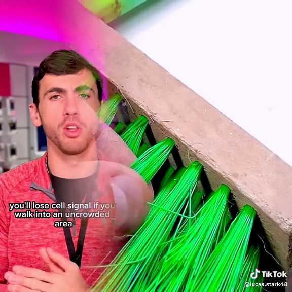 Lucas Stark on TikTok