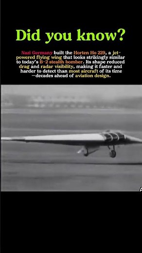 The Nazi Jet That Predicted Stealth Bombers | Horten Ho 229 Explained