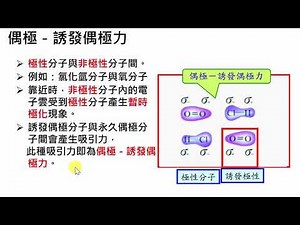 高中化學｜分子間作用力 凡得瓦力2