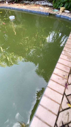 RodMiamiPools on TikTok