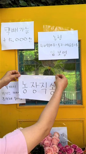 지금 개화예술공원에서는 프리마켓이 한창입니다. 놀러오세요💕 #프리마켓 #농장직송 #싸다 #보령여행 #보령가볼만한곳