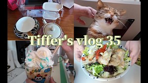Tiffer's vlog 35 游泳健身配白人饭/购入新餐具/小猫可可爱爱
