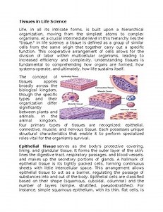 Tissues in Science Worksheet for Sub-Plan or Classwork & Homework