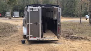 15K views · 464 reactions | Trailer loading clinic. | Tim Anderson Horse Training | Facebook