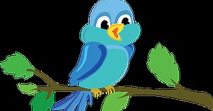 Birds Of A Feather......Preschool Storytime