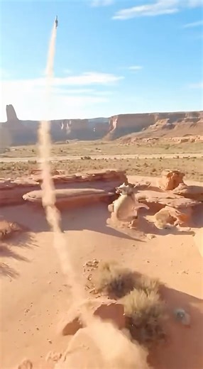 Real-Life Wile E. Coyote & Roadrunner Chase! 🏜️💨 (FPV Drone Desert Action) 😂 #wildlife #animals