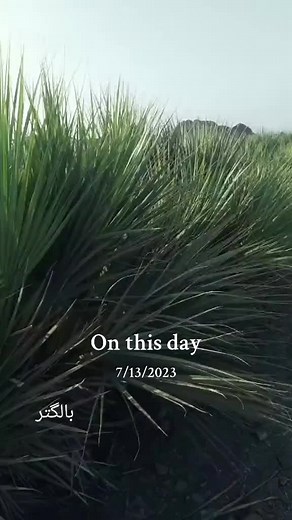 Remembering Historical Events on July 13th