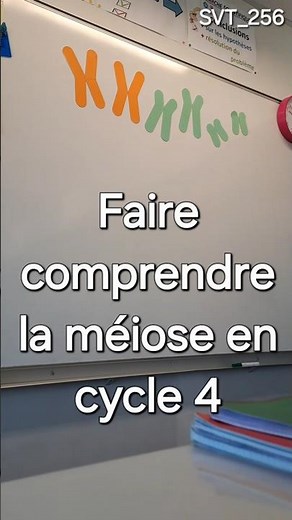 Faire comprendre la méiose en cycle 4