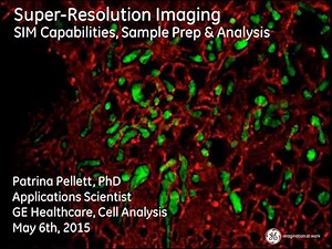 Practical Super-Resolution Imaging: SIM Capabilities, Sample Prep and Analysis