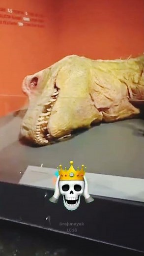 6 Mythical Sea Monsters That Might Be Real #seamonster #deepsea #bloop #elgranmaja #talasofobia