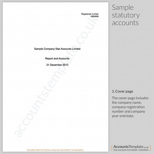 A guide to the Statutory Accounts format | Accounts Template