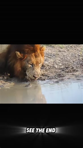 divya_x1x on Instagram: "💧🔨 A Prince Rupert’s Drop creates a physics paradox — the head can shatter a bullet, but snapping the tail destroys it instantly. Physics dictates this happens because of extreme compressive stress stored during cooling. The head is invincible due to tension, but the tail is a release valve; one crack sends a shockwave at 4,000 mph, turning the glass into dust 💥🌪️. 🦾🧠 In a bionic breakthrough, scientists are now connecting robotic limbs directly to the nervous syst