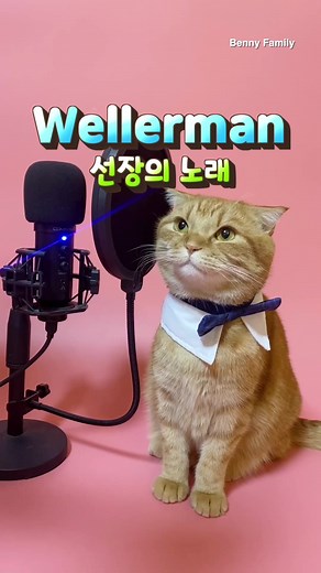 Benny the Cat의 Wellerman 커버