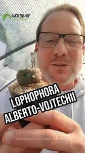 Why this mini cactus will burst your pots! | Lophophora alberto-vojtechii