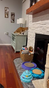 174K views · 9.5K reactions | Setting a bad example | Cubby and Friends | Facebook