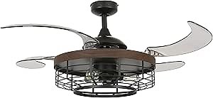 FANAWAY Montclair 48-inch AC Ceiling Fan with Light, 48 Inch, Black (Koa Trim) with Smoke Blades