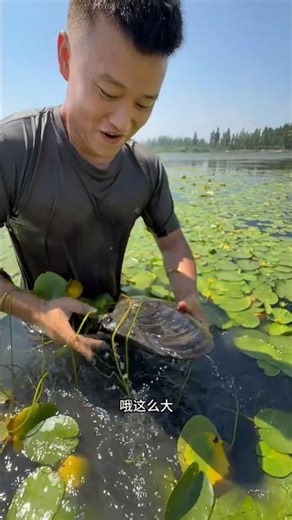 this boy went to the river to catch a turtle and found a pearl shell.