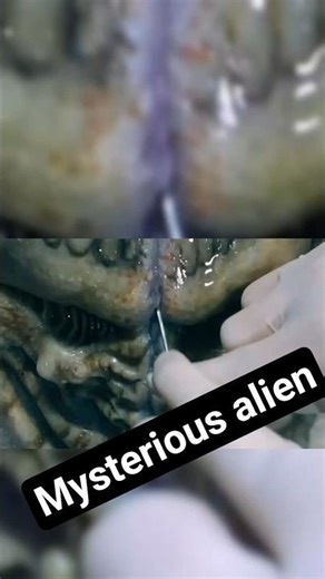The Alien was hiding INSIDE! 😱👽 #movie