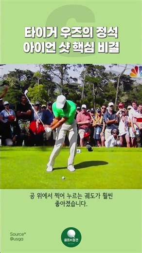 타이거 우즈의 정석 아이언 샷 핵심 비결