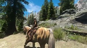 Natural Performance ENB