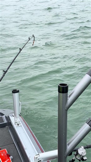Open dates next weekend (March 21-22). Brown trout or big Green Bay walleyes. Weather looks great and fish are gonna be biting! #letsfish #fyp #greenbay #wisconsin #milwaukee