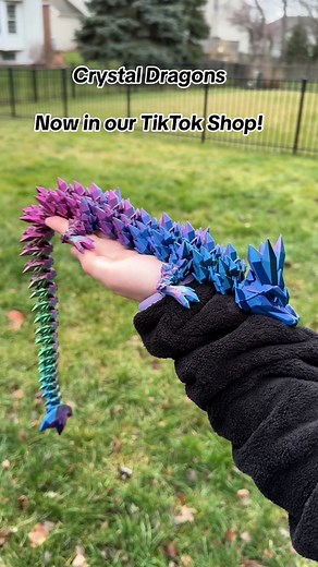 🐉Adopt your very own Crystal Dragon! They come in multiple sizes, and you can even get one in a mystery dragon egg!🐉 #mysterydragon #mysterydragonegg #crystaldragon #dragonegg #3dprinteddragon #dragon #3dprint
