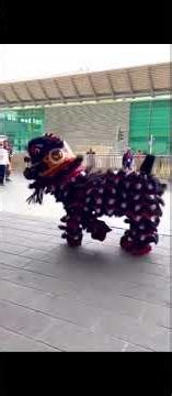 Last Minute Lion Dance Practicing Before the Performance