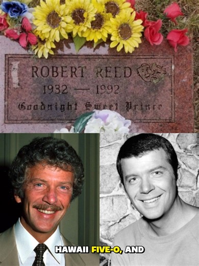 Robert Reed (1932–1992) was a talented and versatile actor best known for two iconic television roles: attorney Kenneth Preston in the drama The Defenders (1961–1965) and beloved father Mike Brady in the classic sitcom The Brady Bunch (1969–1974). | Classic Film