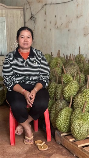 Mrs. Pan Nalin runs a rubber plantation and works as a durian contractor. As the saying goes, “A big boat needs a big sail”, which perfectly describes her story. As her business grew, she needed financial support to manage its expansion, and LOLC Cambodia became the trusted partner that helped her achieve that growth. | The Phnom Penh Post