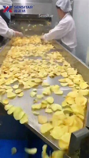 Sensitar Potato chips production line #machine #potato