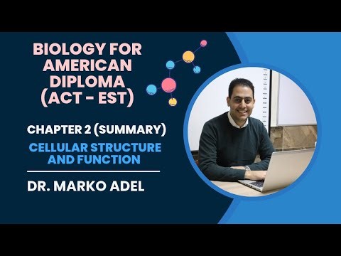 Chapter 2 : Cellular Structure and Function (Summary)