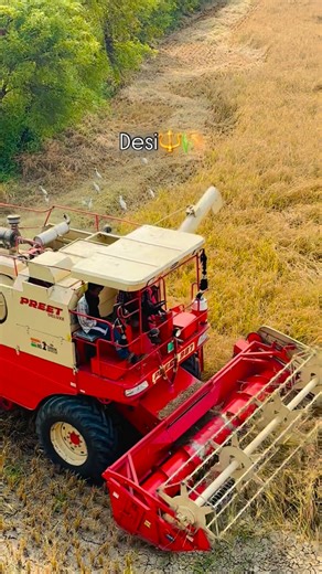 FARMINGRAJ on Instagram: "Desi Life🌾👑 #desi #farm #harvester #combine #preet #vishal #kartar #farmer #tractor #kissan #khetibadi🌱🌾 #farming #instagram #village #pind #kheti #tractors #agriculture #nishudeshwal #sidhumoosewala #jaat #desibalak #gaon #saher #town #village #rich #poor #amir #gareeb #profit"