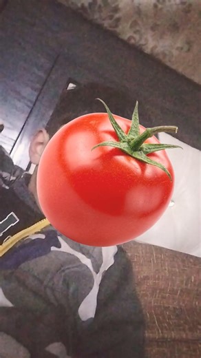 ٢٥ مارس ٢٠٢٦