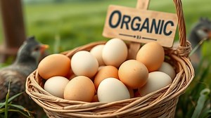 are organic eggs pasteurized? - Test Food Kitchen