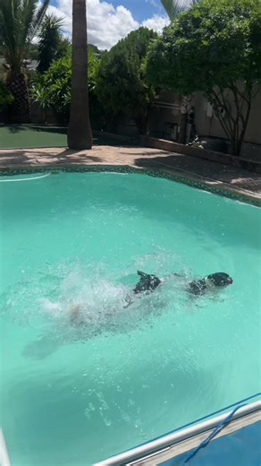 Spend a Weekend with Me: A Fun Vlog Experience