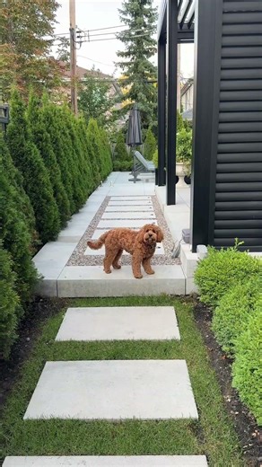 #architecture #backyarddesign #luxuryhomestour #luxuryhomes #poolbuilder #design #backyard