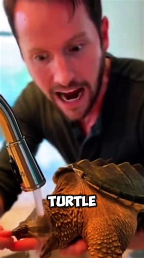 Turtle Bite Warning: The One Mistake That Can Break Your Hand