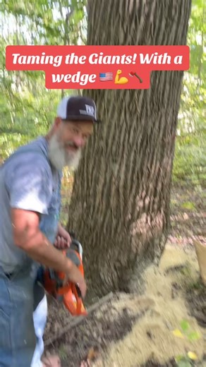 Timberkutterpatriot on Reels