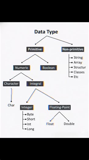 Coderjetsetjoy on Instagram: "💥Data Types Primitive and Non primitive 🤫"