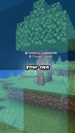 Can You Become the Richest Box on This Minecraft Server?